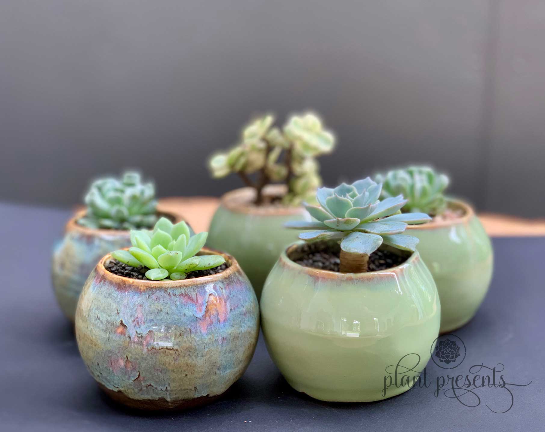 Ceramic Small Planters